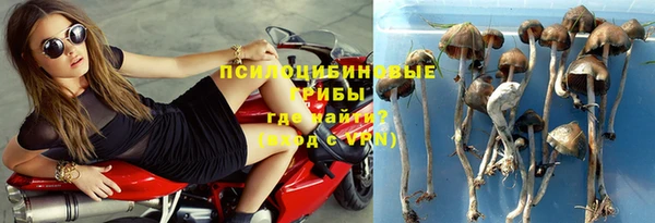 MESCALINE Надым