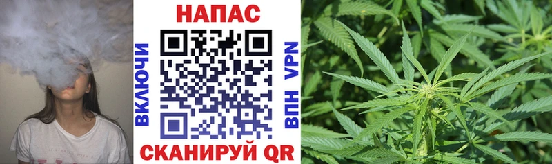 Марихуана OG Kush  купить наркоту  Углегорск 